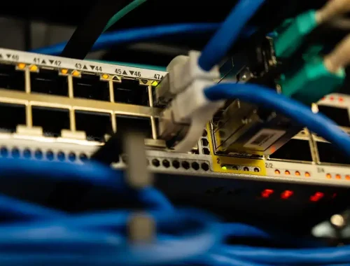 Ethernet cables plugged into the ports of a network switch